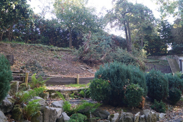 DSC00239 DSC00239