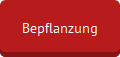 Bepflanzung