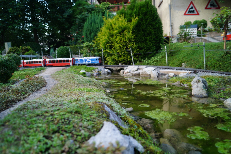 Personenzug am oberen See bei Lavin